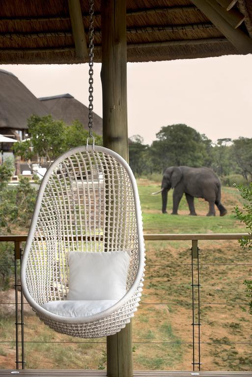 Mhondoro Safari Lodge & Villa 벨게본든 수렵 금지 구역 외부 사진