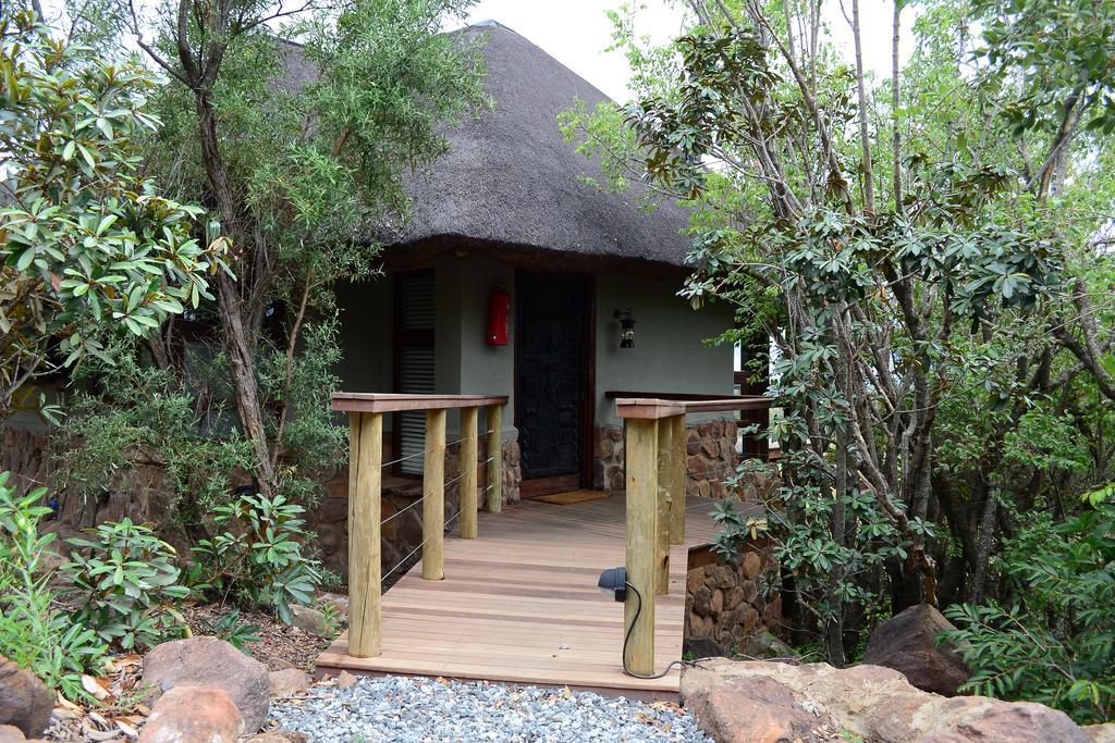 Mhondoro Safari Lodge & Villa 벨게본든 수렵 금지 구역 외부 사진