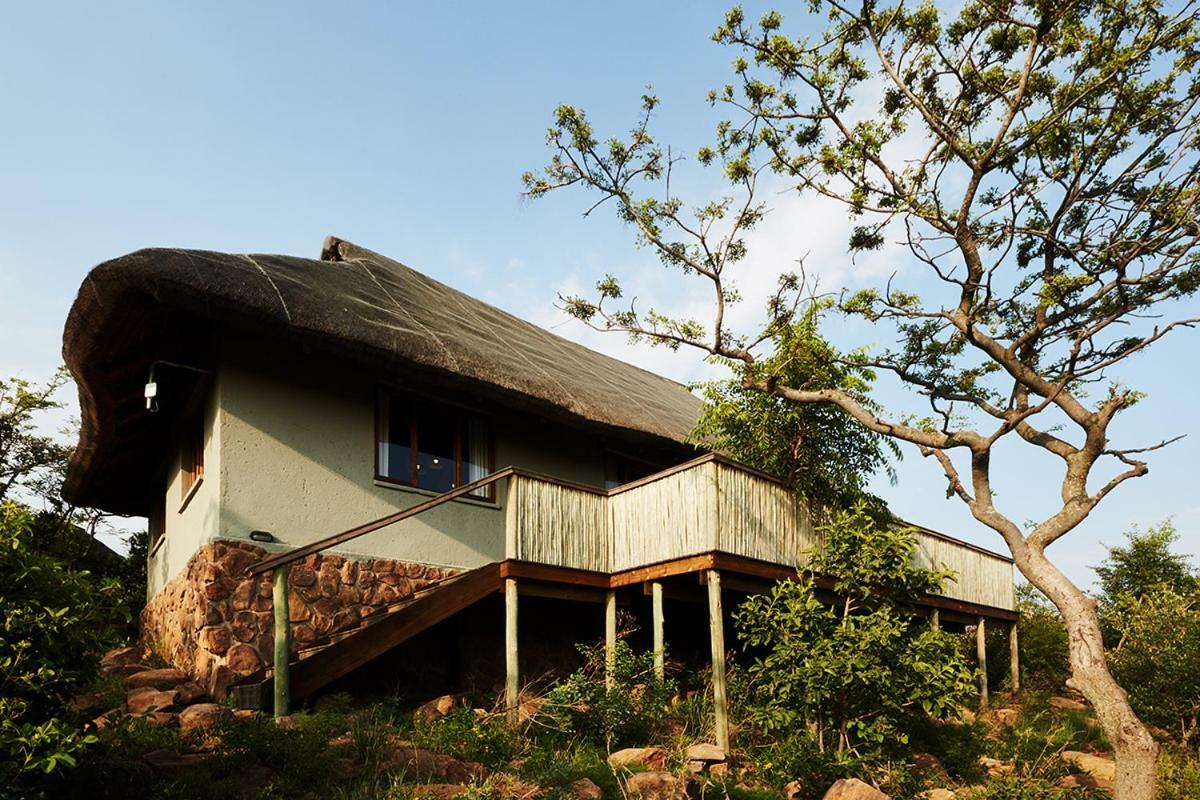Mhondoro Safari Lodge & Villa 벨게본든 수렵 금지 구역 외부 사진